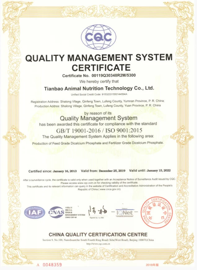 Punk Hollow Cube Pendient Necklaces for Men Women Unisex Stainless Steel Square Charm Jewelry Necklace Geometric Collier Fashion