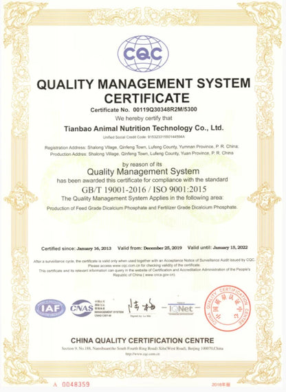 Punk Hollow Cube Pendient Necklaces for Men Women Unisex Stainless Steel Square Charm Jewelry Necklace Geometric Collier Fashion